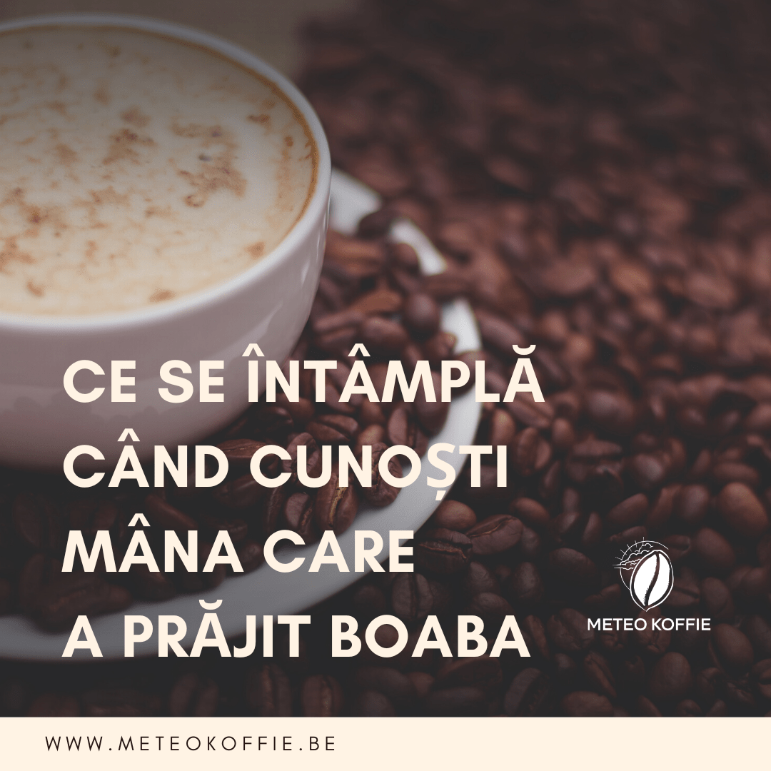 Există o cafenea unde știi exact cine ți-a prăjit cafeaua. Și el știe cum o bei tu. - Meteo Koffie – Torréfacteur de café mobile Quai de L'industrie 168 1070 Anderlecht